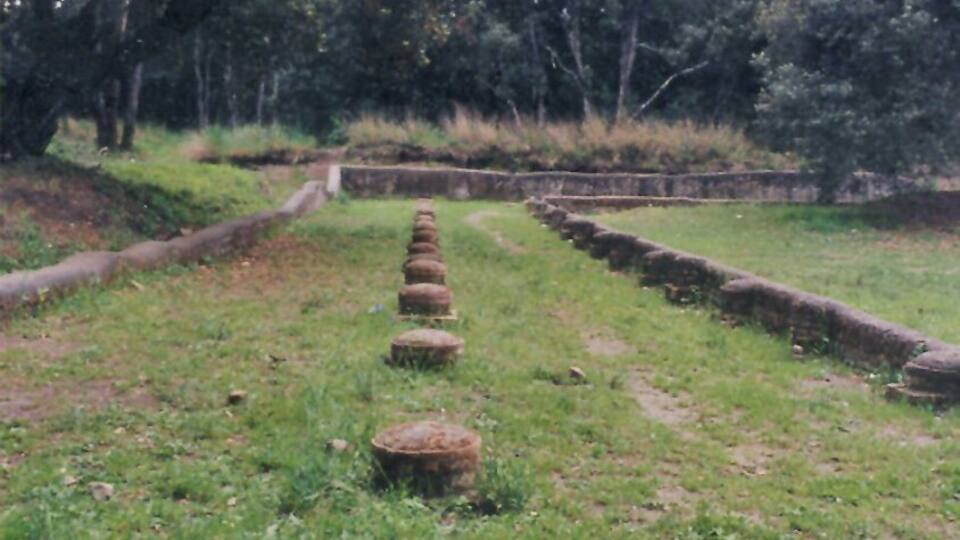 colonnato villa di plinio