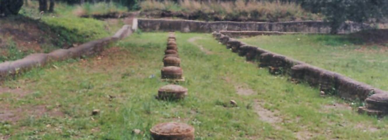 colonnato villa di plinio