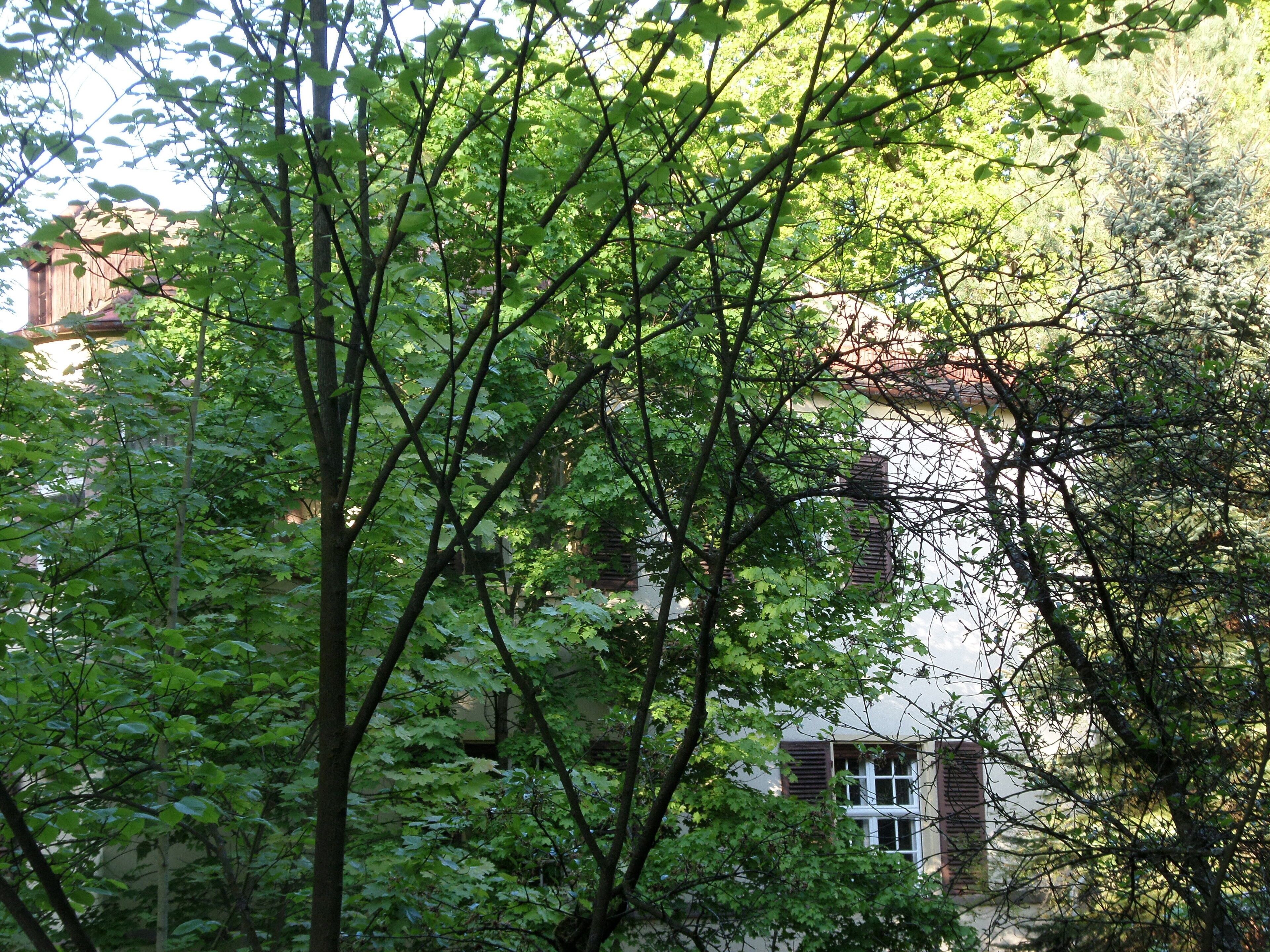 Erlenstegenstraße 54 - Villa - Zweigeschossiger Walmdachbau mit Eckerker und Erdgeschoss-Loggia, in neubarocken und neuklassizistischen Formen, Haustür eingefasst von Spätjugendstil-Kacheln, um 1914. - D-5-64-000-433