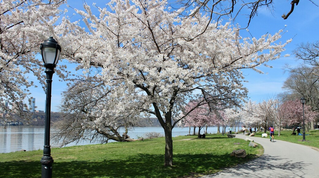 พาร์คลาโตเรต