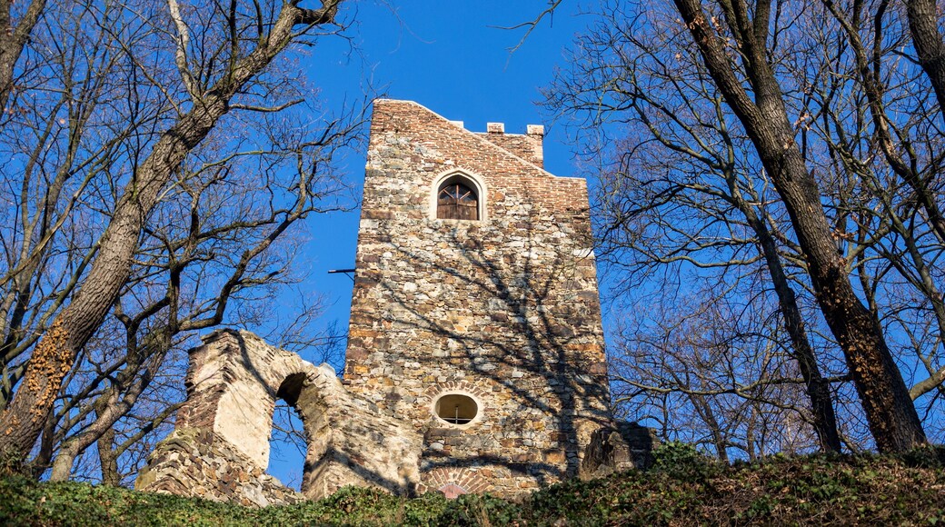 Košíře