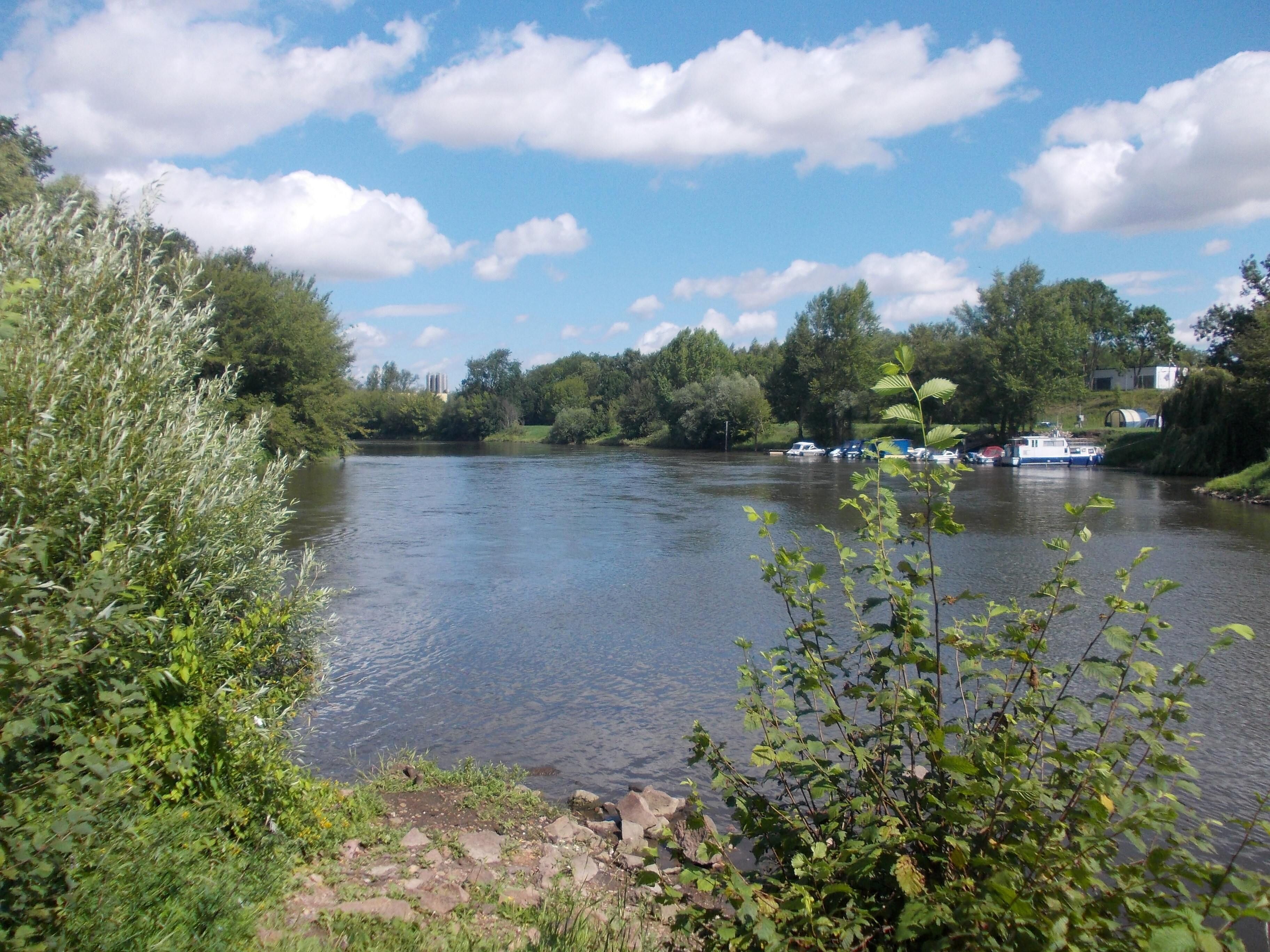 Saale river at Forstwerder island in Trotha (Halle/Saale, Saxony-Anhalt)