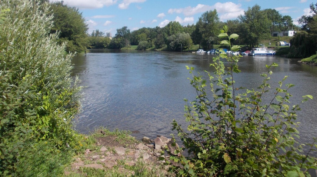 Saale river at Forstwerder island in Trotha (Halle/Saale, Saxony-Anhalt)