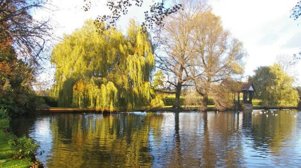 Lake, Broomfield Park, London N13 Looking across one of the lakes in Broomfield Park near to the Powys Lane side of the park.