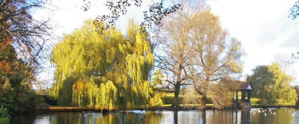 Lake, Broomfield Park, London N13 Looking across one of the lakes in Broomfield Park near to the Powys Lane side of the park.