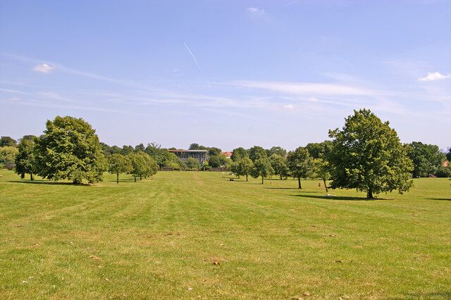 Broomfield Park. London N13. Looking towards the now derelict Broomfield House with the new lime trees which replaced the avenue of elm trees which succumbed to Dutch Elm Disease in the 1970s. 715232