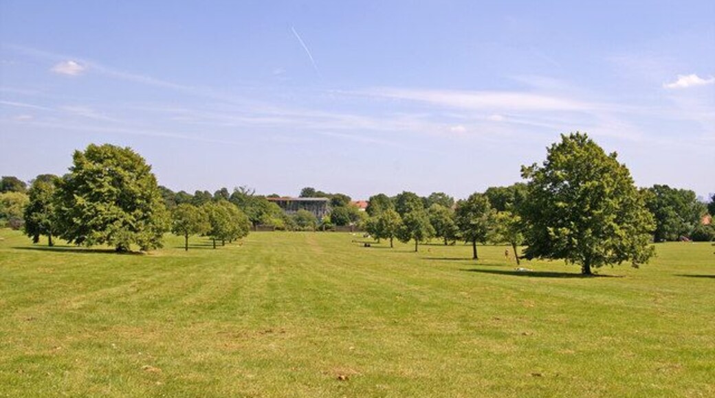 Broomfield Park. London N13. Looking towards the now derelict Broomfield House with the new lime trees which replaced the avenue of elm trees which succumbed to Dutch Elm Disease in the 1970s. 715232