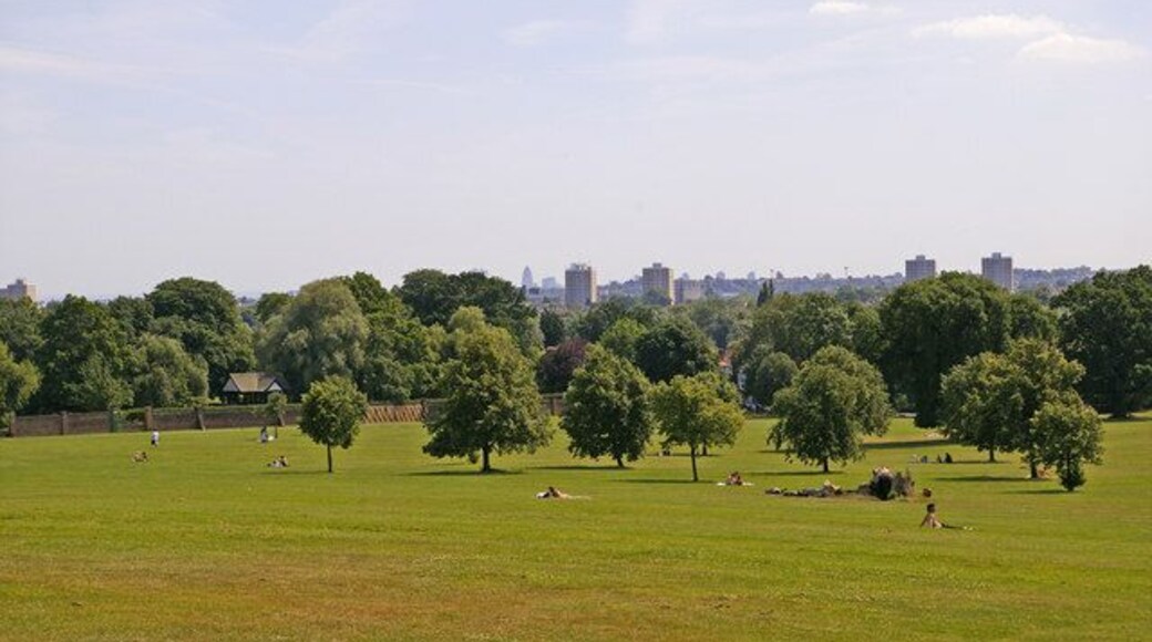 Broomfield Park. London N13 Looking south across Broomfield Park. It is possible to see the Gherkin on the horizon just left of centre in this image.