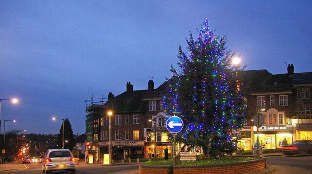 Christmas tree at Hampden Square