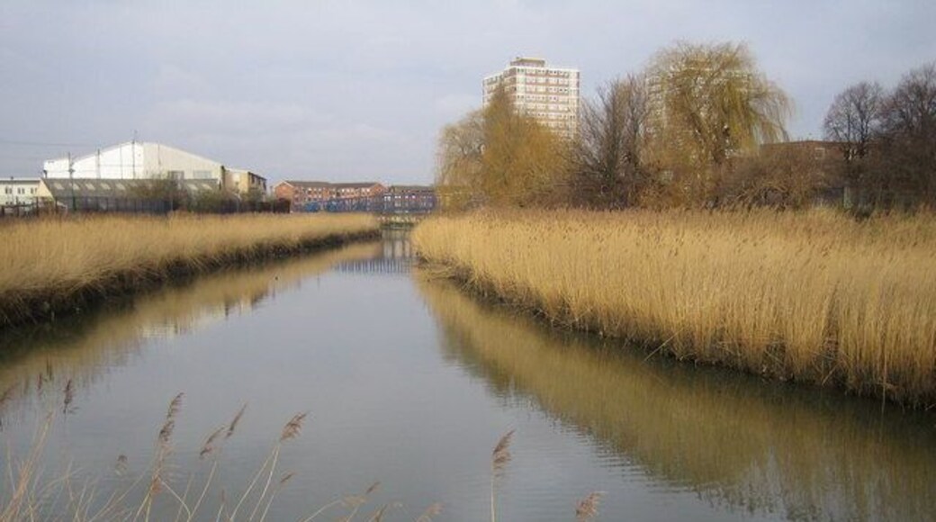 River Roding in Barking Looking upstream, the footbridge in 111233 and the tower blocks in 322334 can both be seen in the distance. The reed beds visible along this reach of the river are important, and in this area, unique wildlife environments. In a couple of places the river has meandered in the past, but the meanders have subsequently silted up allowing the reeds to grow. However the organization that was responsible for building the flood defence walls has gone to great lengths to preserve the reeds by building the wall around the outskirts of the old meander line.
