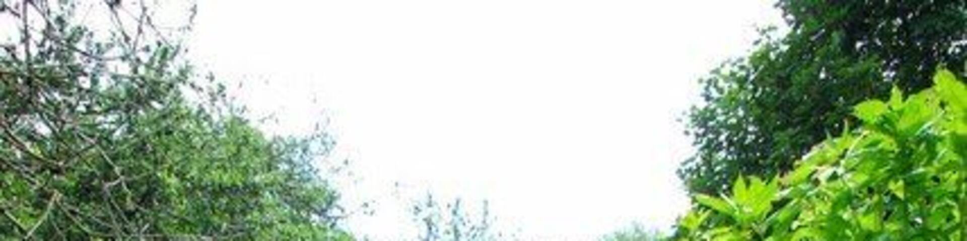 The Beam River. The Beam River is created by the confluence of the Rom and the Ravensbourne within 1362986 nature reserve. To learn more about this London Wildlife Trust Reserve see http://www.wildlondon.org.uk/Naturereserves/TheChase/tabid/142/Default.aspx This shot was taken looking downstream.