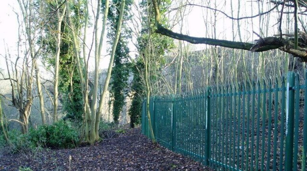Fence preventing access to the Wharncliffe Viaduct - looking east