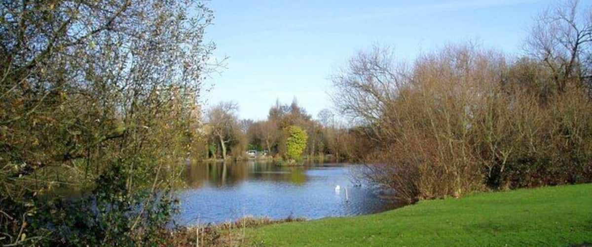 The Mill Pond