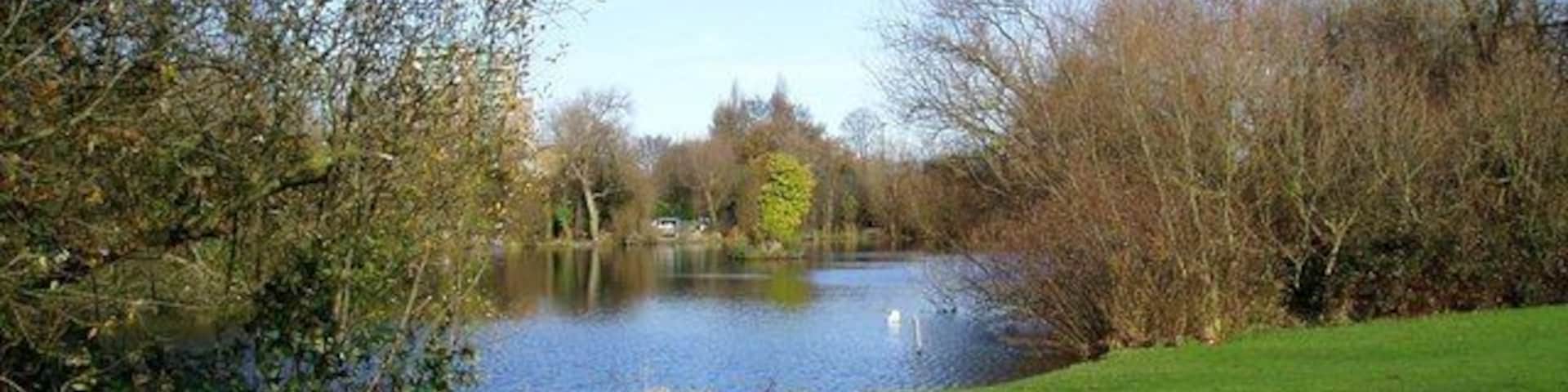 The Mill Pond