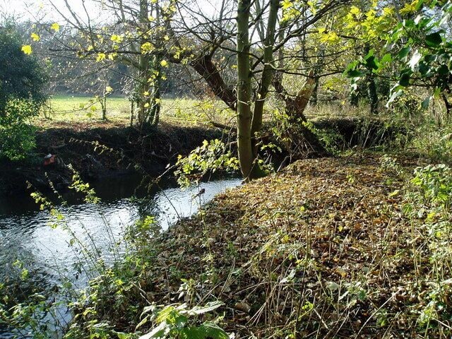 A bend on the River Brent View from the right hand bank.