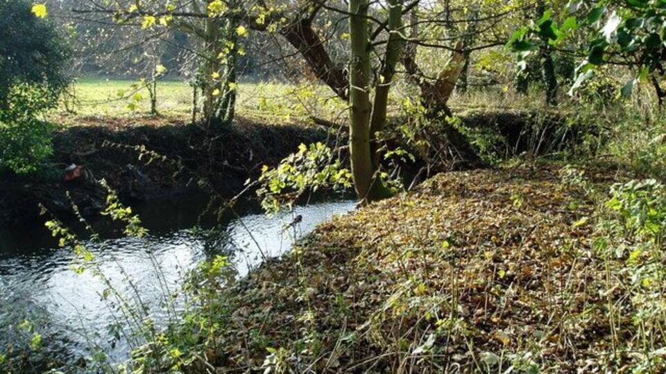 A bend on the River Brent View from the right hand bank.