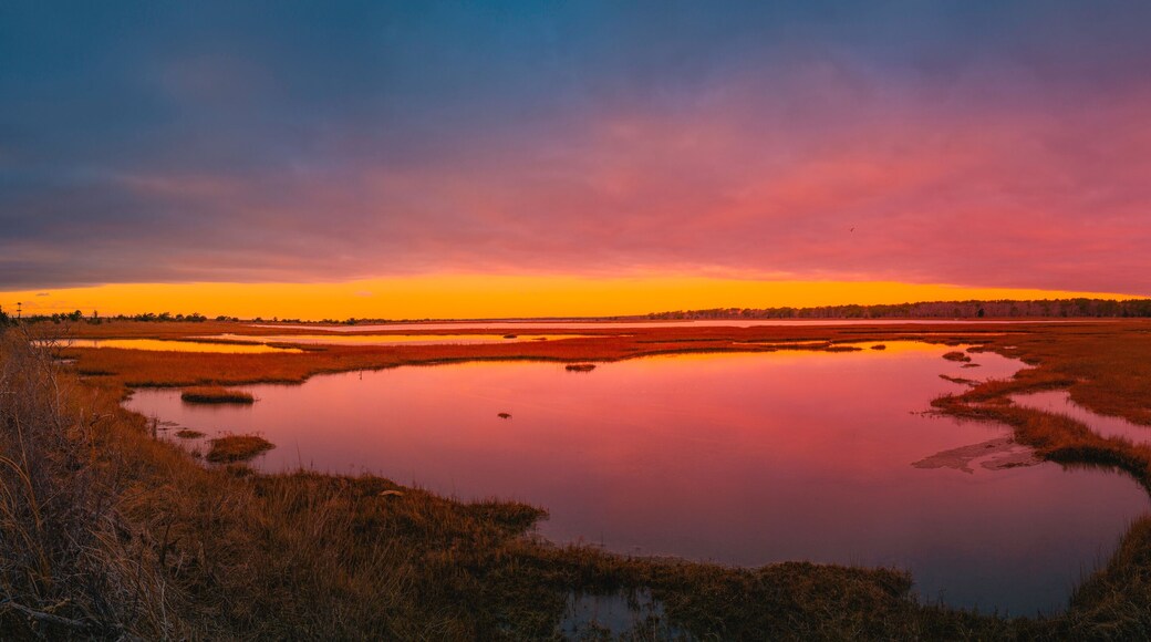 ํ ์ค ์ฐ๋ชป