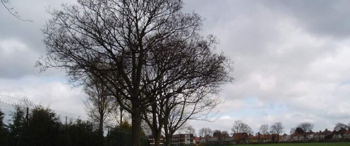 Stevens Park, East Wickham, Kent. This grid square is almost all suburban housing built between the wars, but is relieved by the open space of the small Stevens Park.