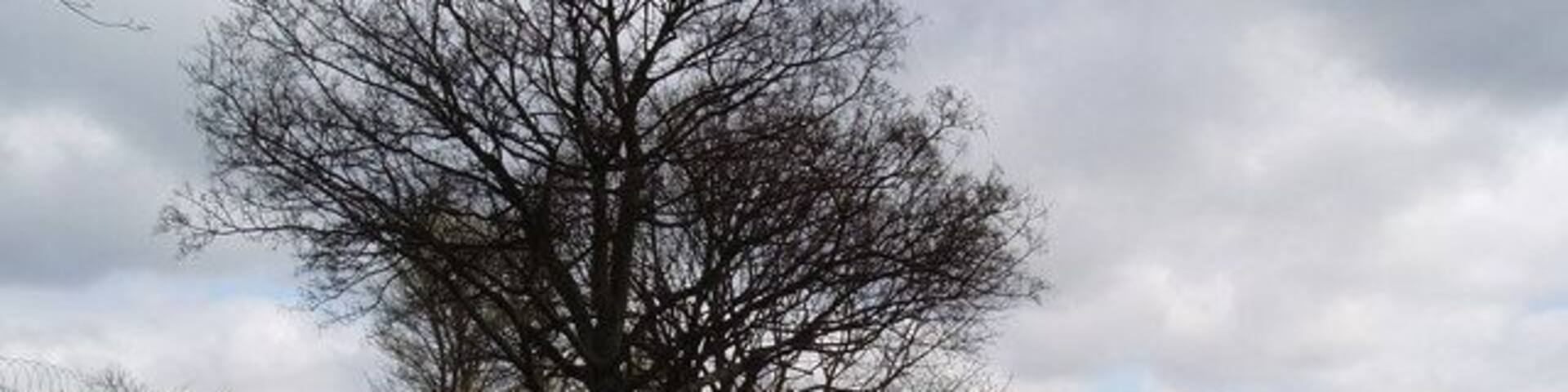 Stevens Park, East Wickham, Kent. This grid square is almost all suburban housing built between the wars, but is relieved by the open space of the small Stevens Park.