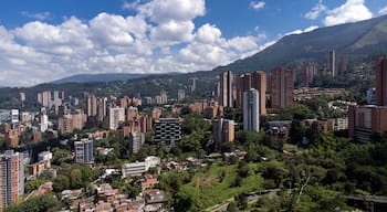 Zona Rosa