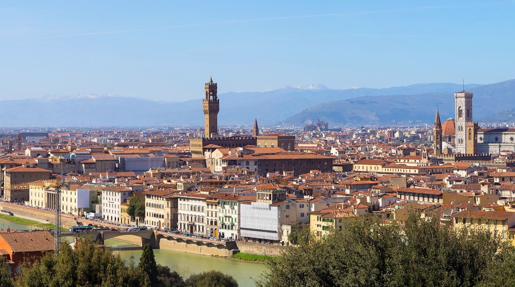 The City of Florence in Tuscany, Italy