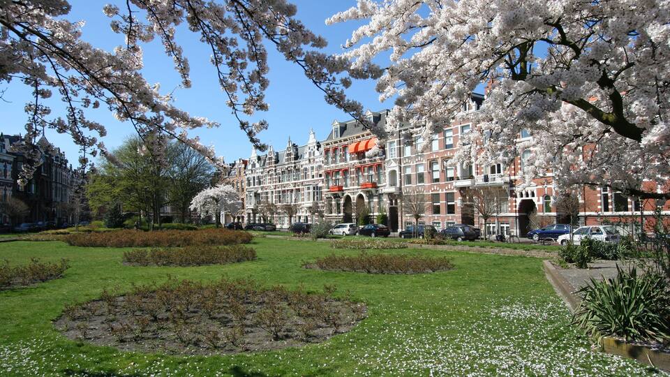 Spring in The Hague