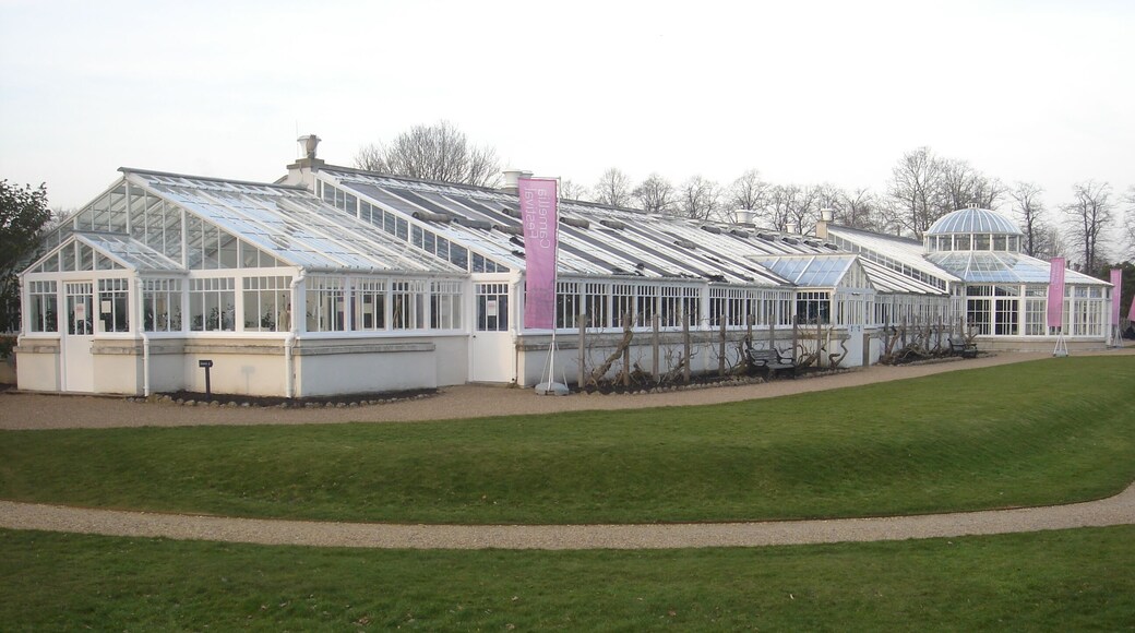 Chiswick House Conservatory