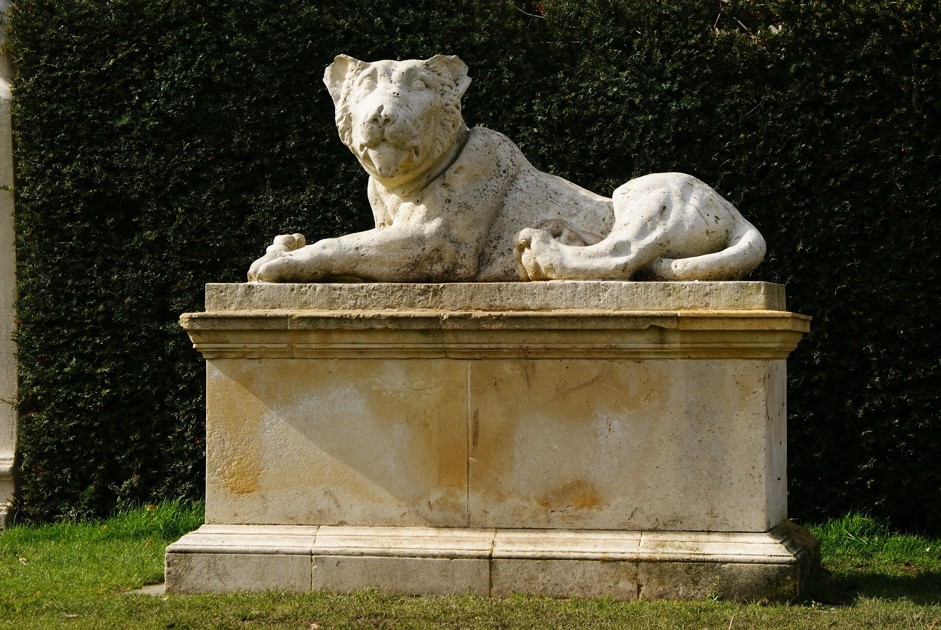 Lion in Chiswick House Gardens