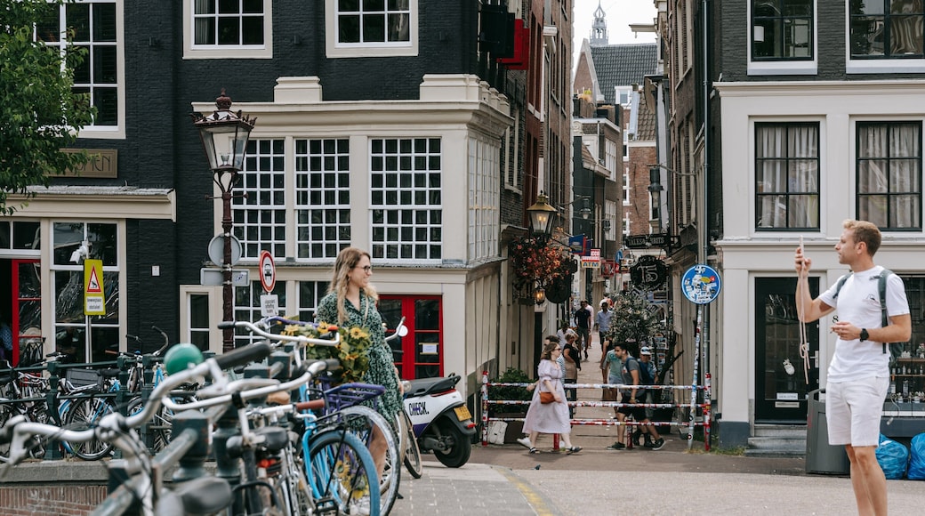 Grachtengordel-West featuring street scenes as well as a couple