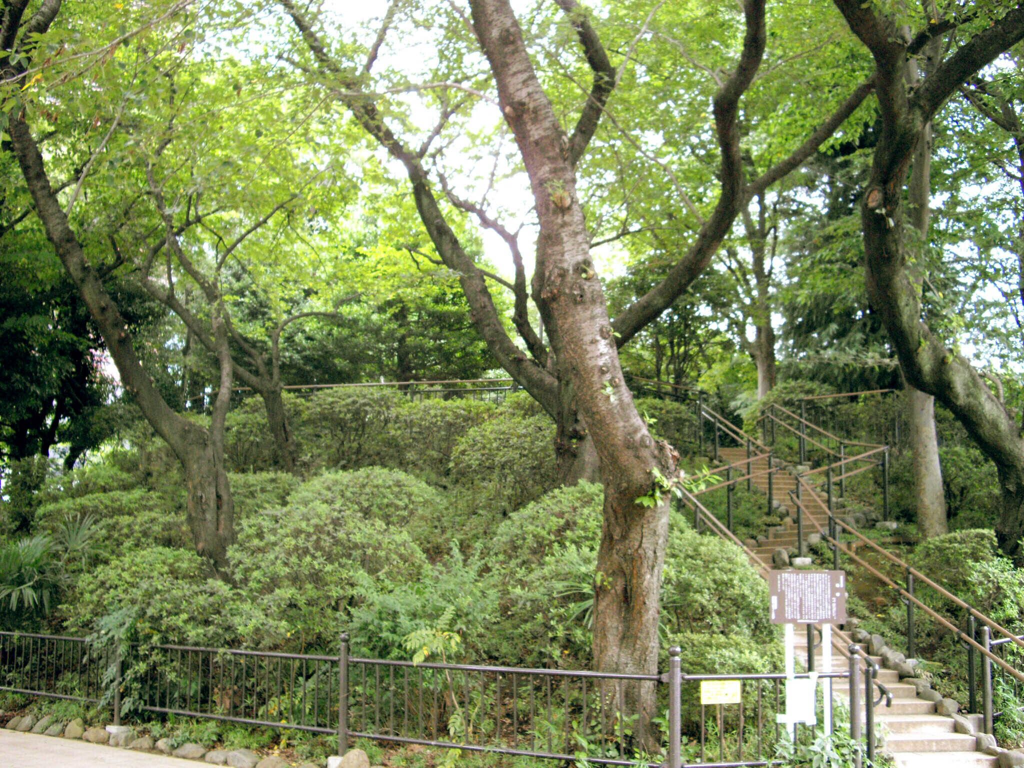 港区立亀塚公園(2)