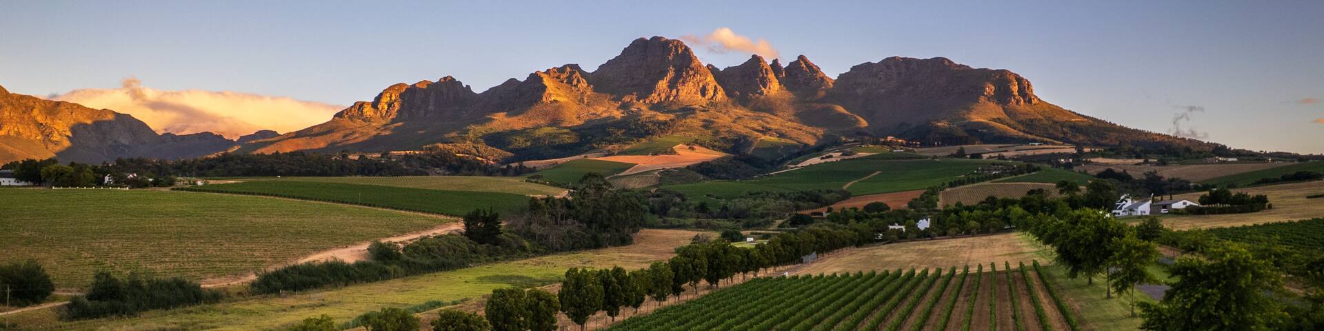 The golden mountain with a wine land on Stellenbosch