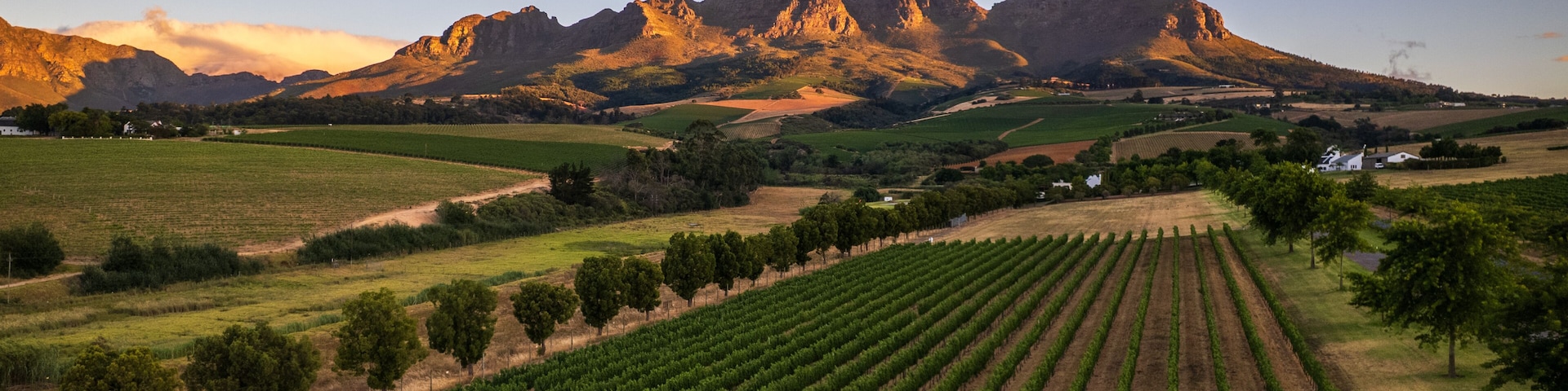 The golden mountain with a wine land on Stellenbosch