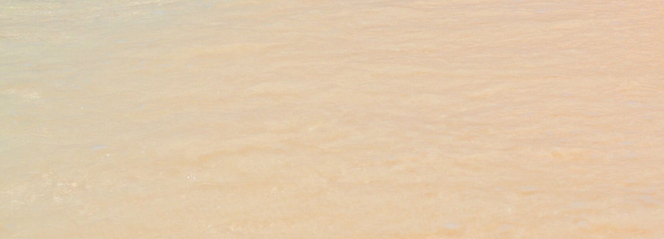 Wave on sandy beach. Bridgetown, Barbados