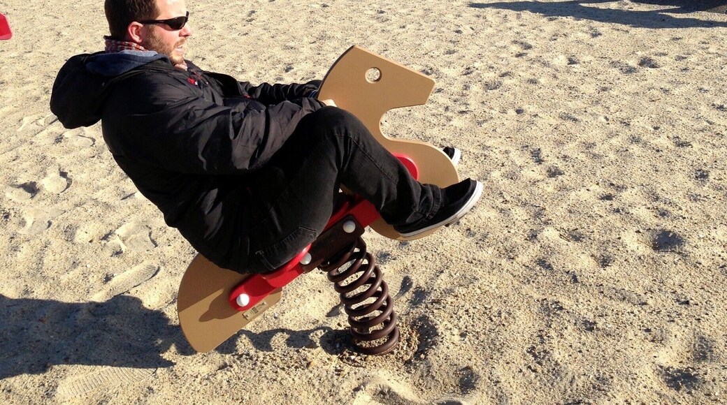 Spending winter on Cape Cod means that you have ALL of the playgrounds to yourself! I literally haven't ridden on one of these in probably 30 years. It was truly a glorious afternoon. Check out more of our stops on a winter bike ride here ---> http://turtlestravel.com/winter-on-cape-cod-bike-ride/