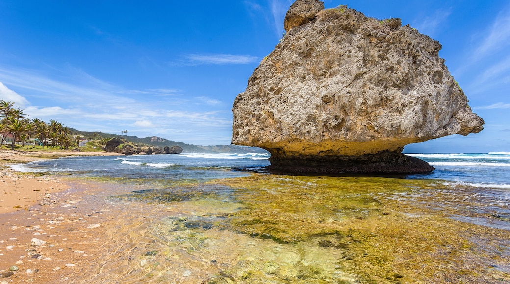 Bathsheba beach, one of the main destinations for tourists in the caribbean island of barbados