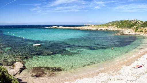 ๋ง๋ฆฐ ๋ ๋ค๋น์