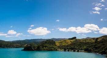 เทาแรงกาใต้