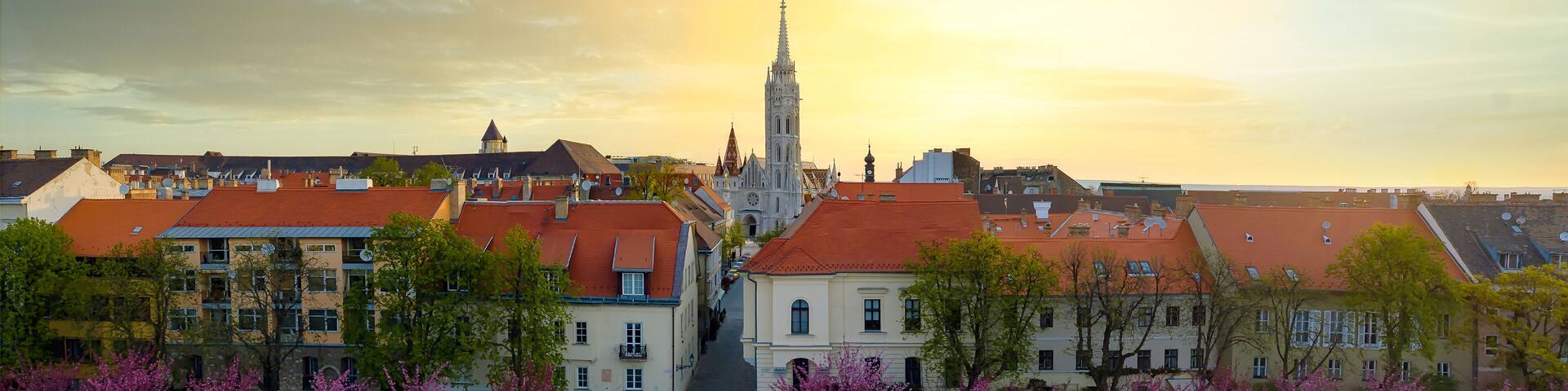 Splendid spring aerial phoito about Buda Royal castle district. Including cherry blossom trees