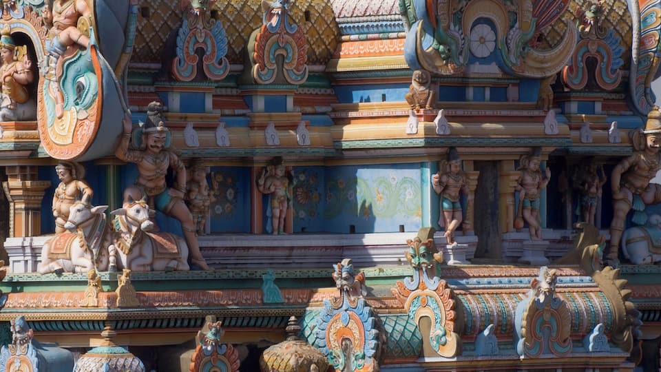 India, Madurai, Sri Meenakshi Temple, carvings, close-up