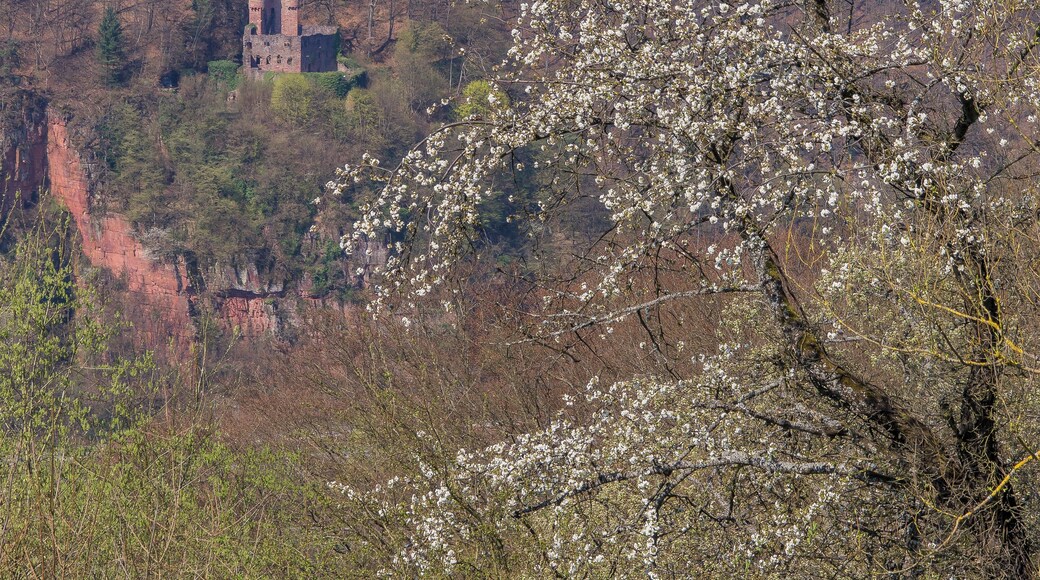 Neckargemünd/Dilsberg, Baden-Württemberg. View from infront of the townwall over the river Neckar onto Ruin castle Schadeck in Neckarsteinach/Hessen