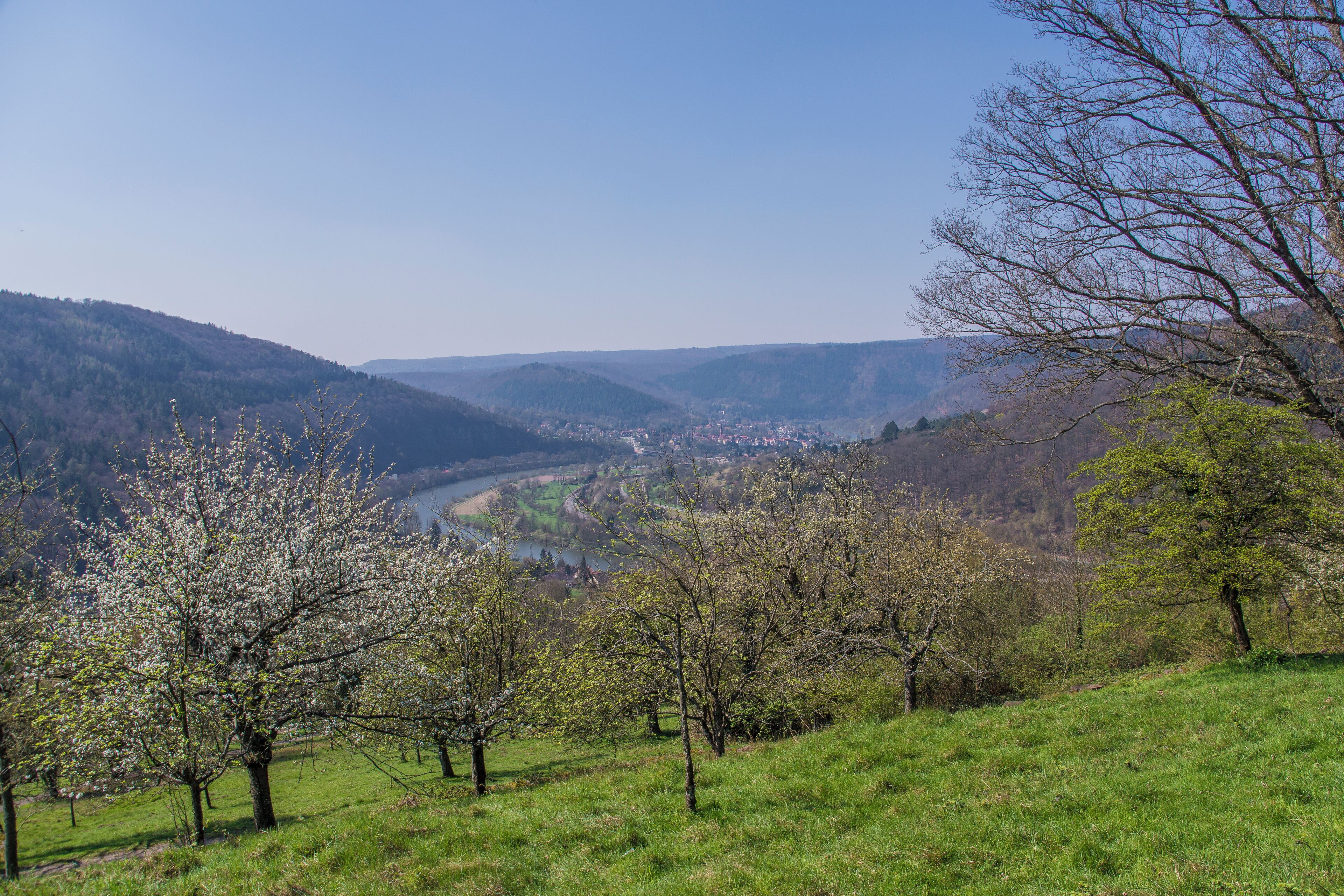 Neckargemünd/Dilsberg, Baden-Württemberg, view from infront of townwall onto the Neckar bend and Neckargemünd