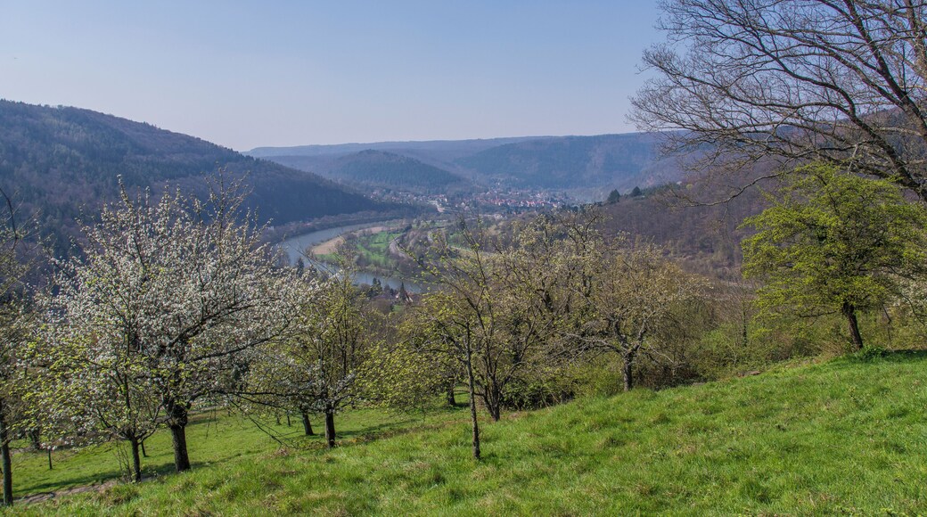 Neckargemünd/Dilsberg, Baden-Württemberg, view from infront of townwall onto the Neckar bend and Neckargemünd