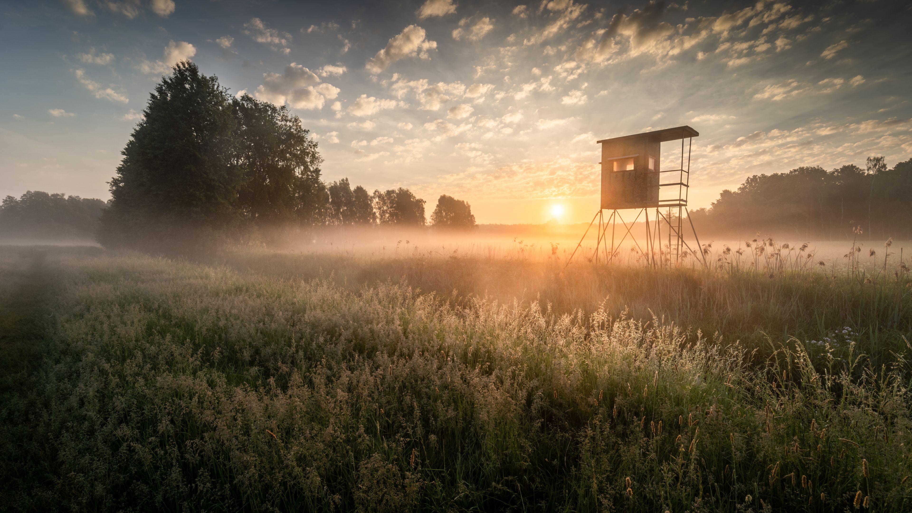 Ein nebliges Feld mit hohem Gras und einem Wachturm.