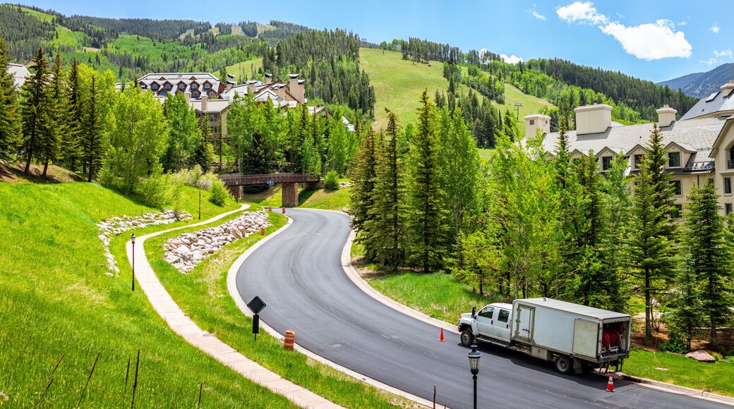 View on mountain ski slopes valley from village loop hiking trail in Beaver Creek resort of Vail near Avon, Colorado in summer with aspen trees forest and homes houses condo buildings by street road