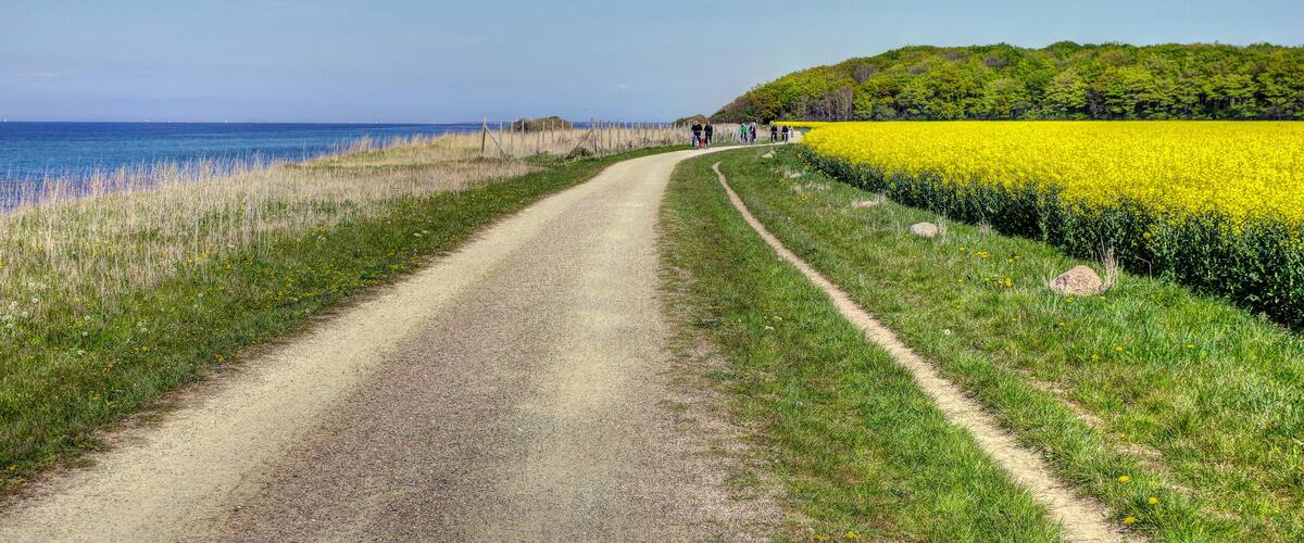 Radwandern Ostsee Börgerende