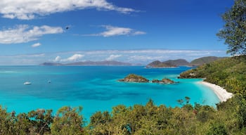 Panoramic view of Trunk Bay, St. Johns, US Virgin Islands
