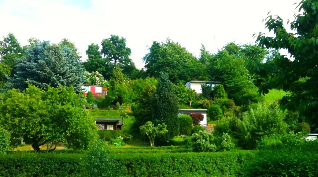 Heiliger Born Dresden-Leubnitz