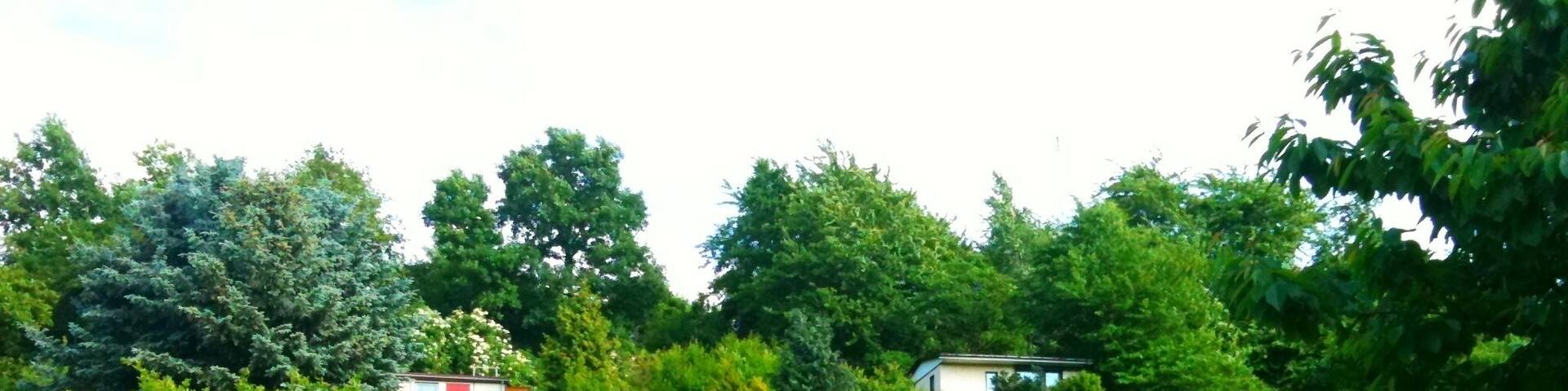 Heiliger Born Dresden-Leubnitz