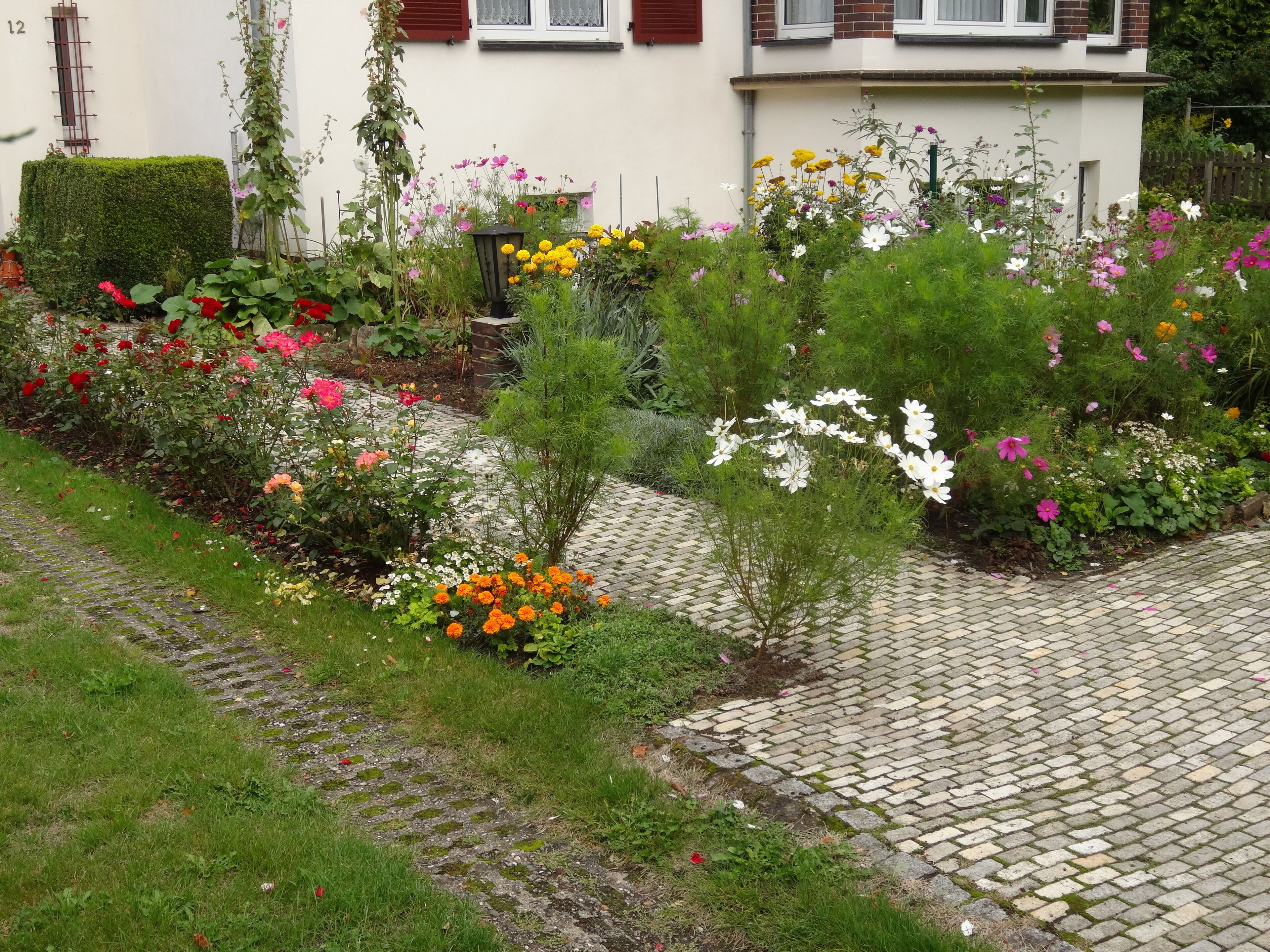 Barlachstraße 12, 01219 Dresden