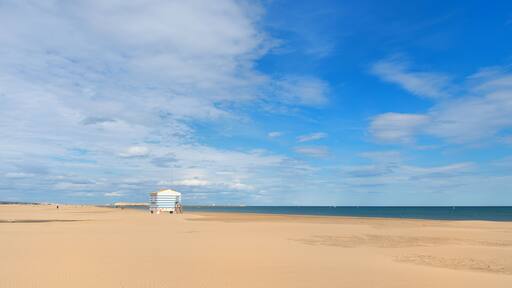 Gruissan plage in France